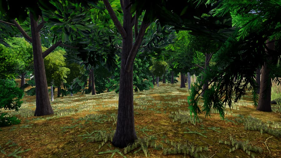 Sunlight falling through the deep green canopy of the Verdant Forest